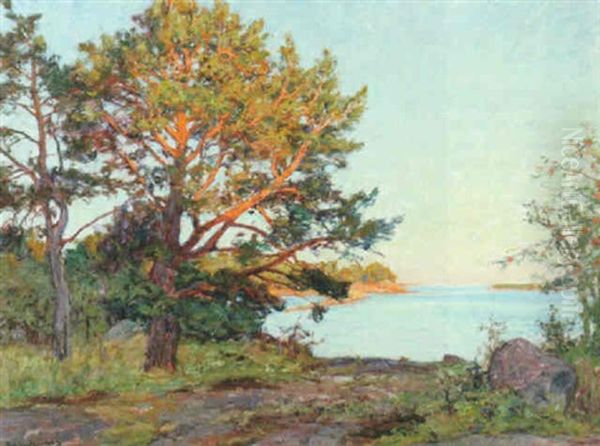 Tallar I Kvallssol Oil Painting by Gottfried Kallstenius