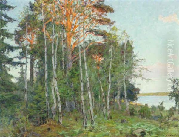 Sobelysta Tallar Oil Painting by Gottfried Kallstenius