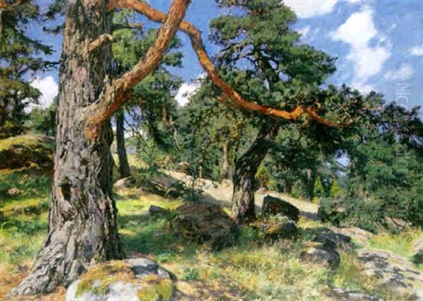 Skargardslandskap Med Tallar Oil Painting by Gottfried Kallstenius