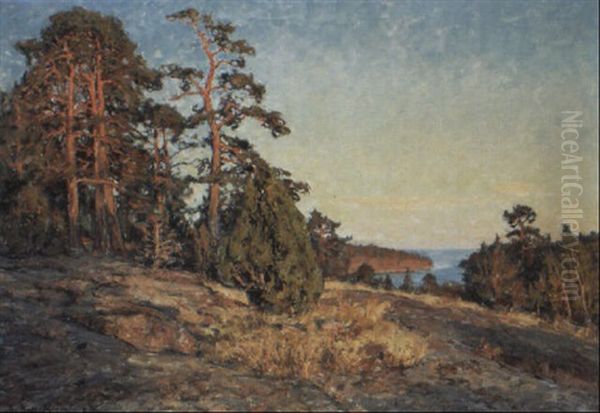 Kustlandskap Med Tallar I Sol Oil Painting by Gottfried Kallstenius