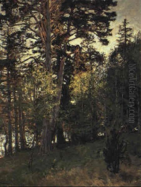 Sommarafton Oil Painting by Gottfried Kallstenius