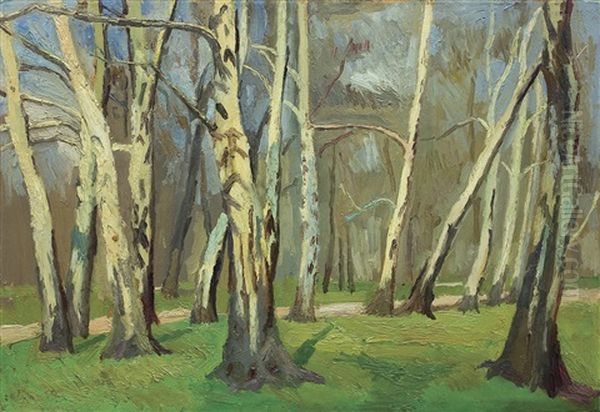 Park In Cracow Oil Painting by Stanislaw Kamocki