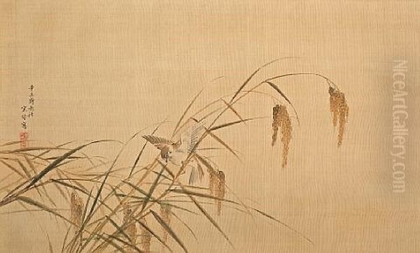 Sparrow In Rice Plants Oil Painting by Nishiyama Kan'Ei