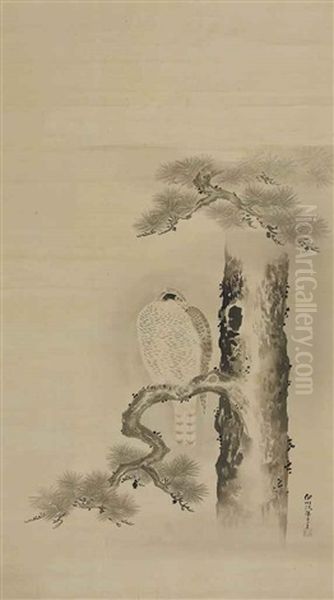 Hawk On Pine Oil Painting by Isen'in Naganobu Kano