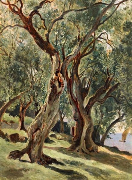 Olivenhain Bei Torbole Am Gardasee. Studie Oil Painting by Edmund Kanoldt