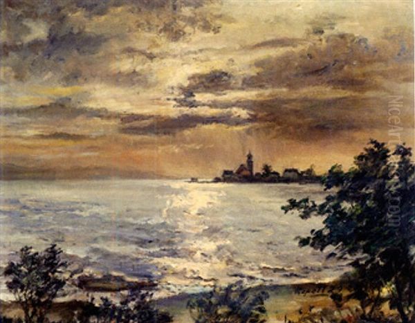 Blick Auf Die Halbinsel Wasserburg Von Osten Aus An Einem Sommerabennd Oil Painting by Paul Kapell