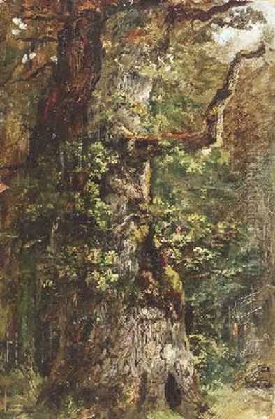 Alte Eiche Im Wald Oil Painting by Albert Kappis