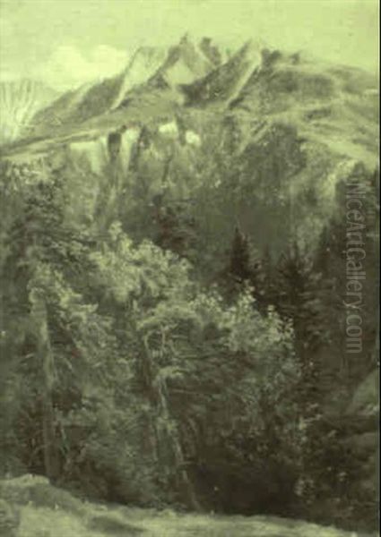 Blick Uber Einen Hochwald Auf Eine Gebirgskette Oil Painting by Albert Kappis