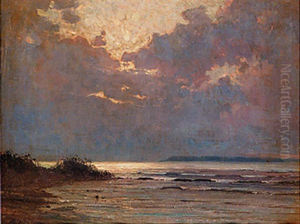 Waves Breaking On A Sunlit Shore Oil Painting by Jenoe Karpathy