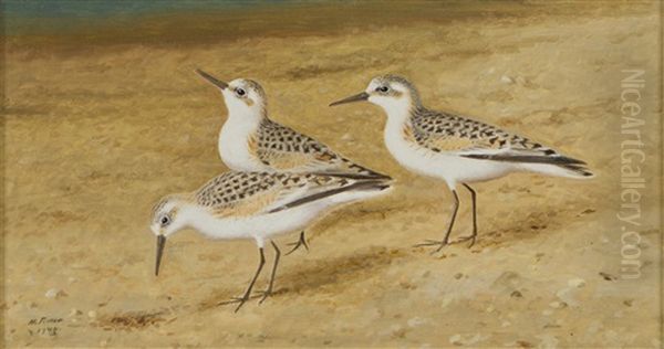 Waders Oil Painting by Matti Karppanen