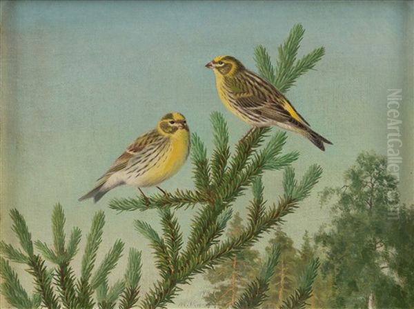 A Pair Of Yellowhammers Oil Painting by Matti Karppanen