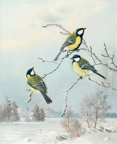 Great Tits Oil Painting by Matti Karppanen