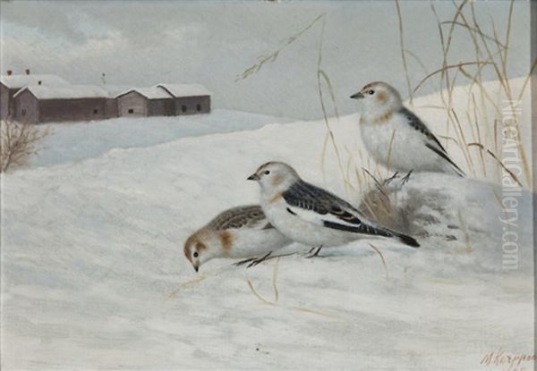 Snow Buntings Oil Painting by Matti Karppanen