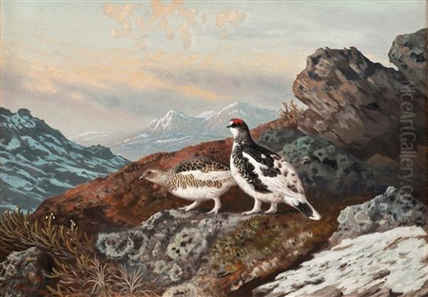 Ptarmigans Oil Painting by Matti Karppanen