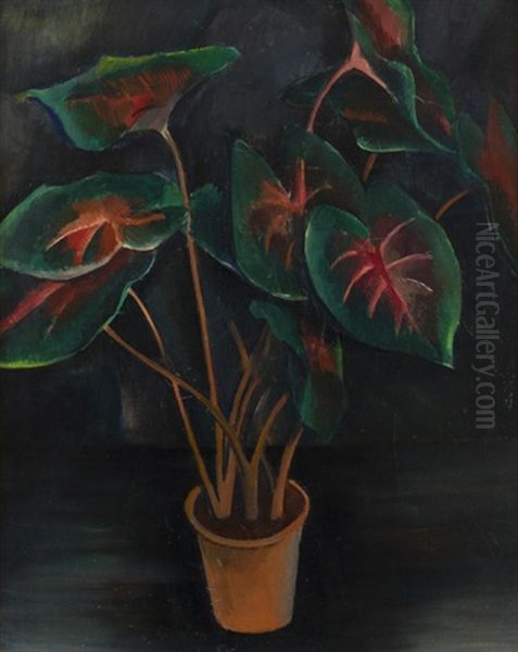 Filodendron by Georges (Karpeles) Kars