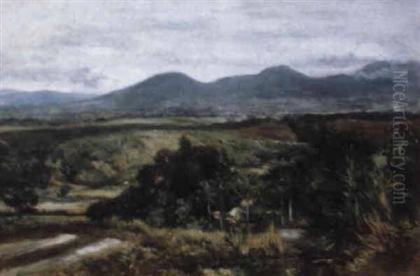 A View Of The Estate P.j.j.a. Geesink, Merapi, Java by Mari ten Kate