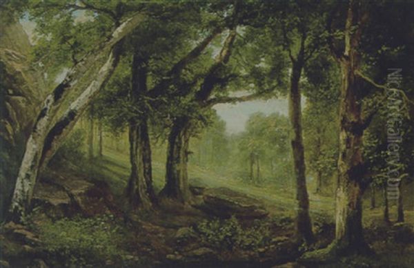 Waldlichtung Oil Painting by Hermann Kauffmann the Elder