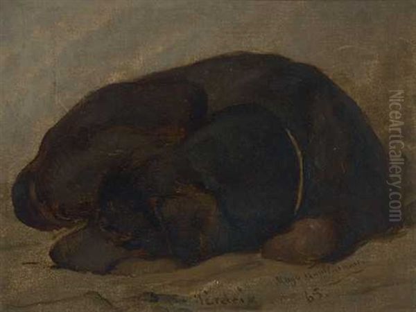 Schlafender Wachtelhund Oil Painting by Hugo Wilhelm Kauffmann