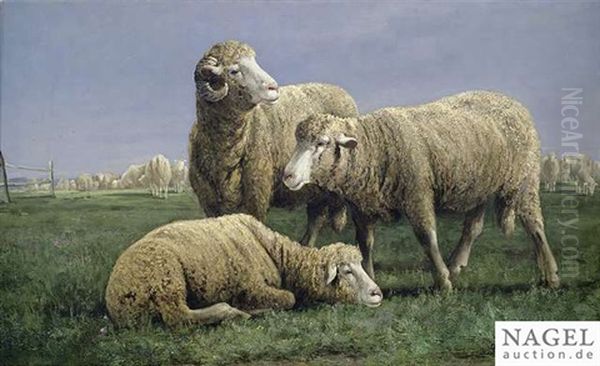 Flock Of Sheep On A Summery Meadow Oil Painting by Adolf Kaufmann