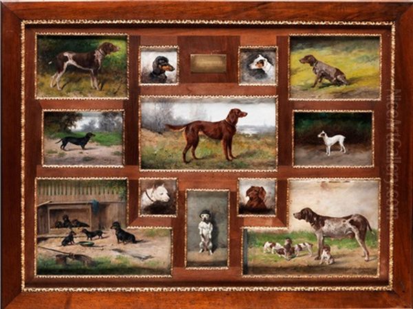 Hundeportraits (12 Works In 1 Frame) Oil Painting by Adolf Kaufmann