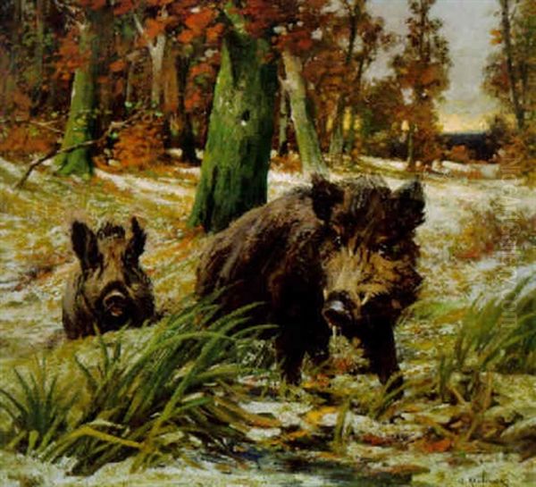 Wildschweine Im Winterwald Oil Painting by Adolf Kaufmann