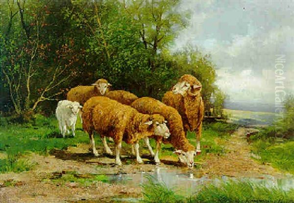 Schafe An Der Tranke Oil Painting by Adolf Kaufmann