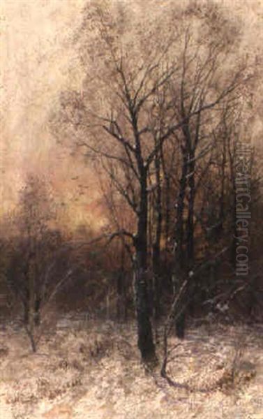 Birkenwald Im Winter Oil Painting by Adolf Kaufmann