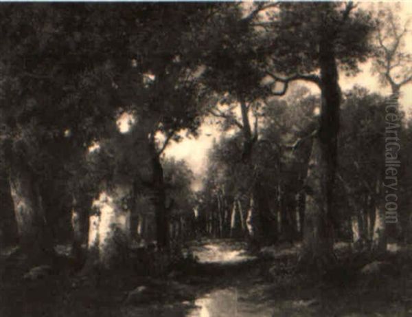 Birkenwald Oil Painting by Adolf Kaufmann