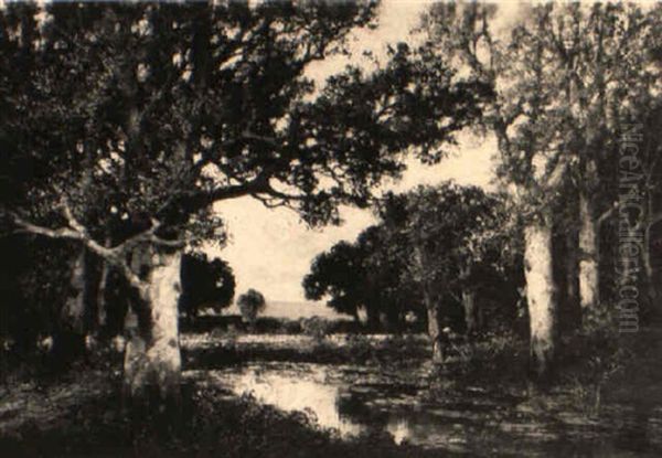 Ein Sommertag Im Wald Von Fontainebleau by Adolf Kaufmann