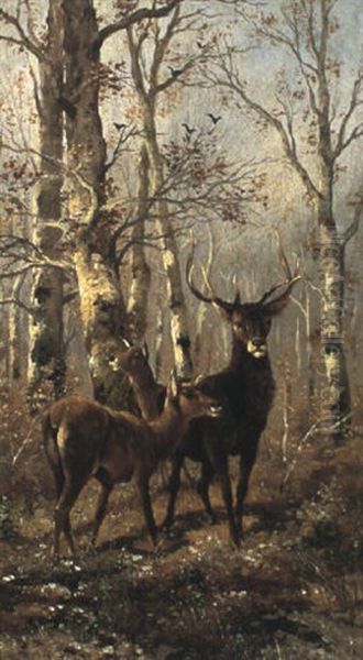 Hirsche Im Birkenwald Oil Painting by Adolf Kaufmann