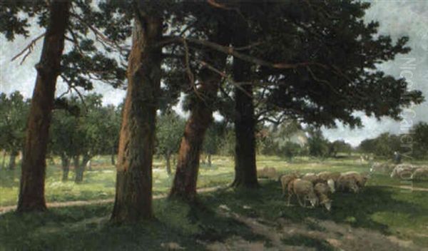 Weidende Schafe Auf Schattiger Lichtung Oil Painting by Adolf Kaufmann