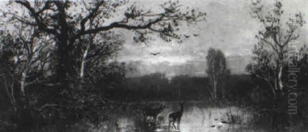 Rehe Am Weiher Oil Painting by Adolf Kaufmann