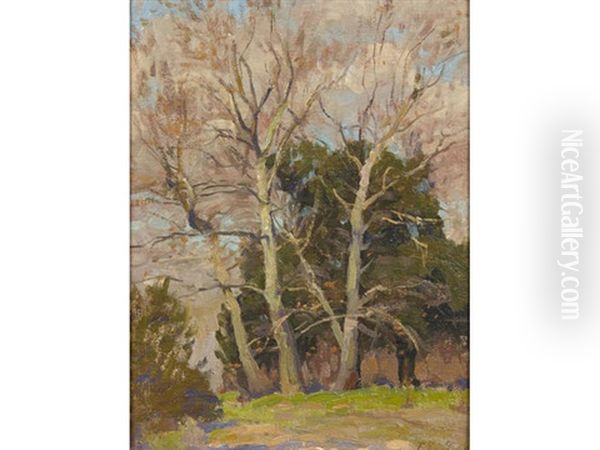 Landscape With Trees Oil Painting by Ferdinand Kaufmann