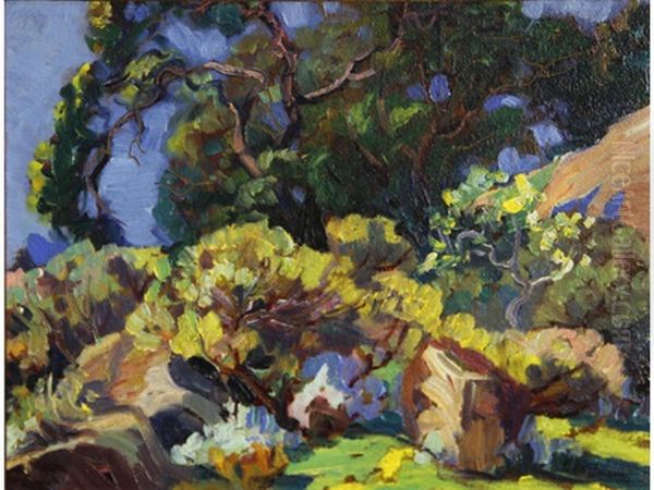 Valley Of Trees And Rocks Oil Painting by Ferdinand Kaufmann