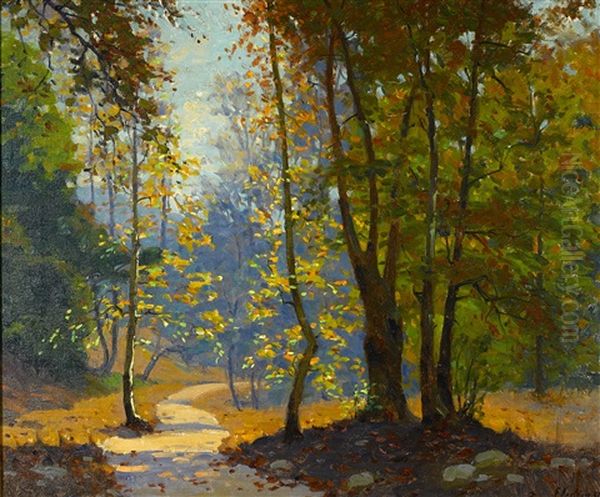 A Woodland Path Oil Painting by Ferdinand Kaufmann