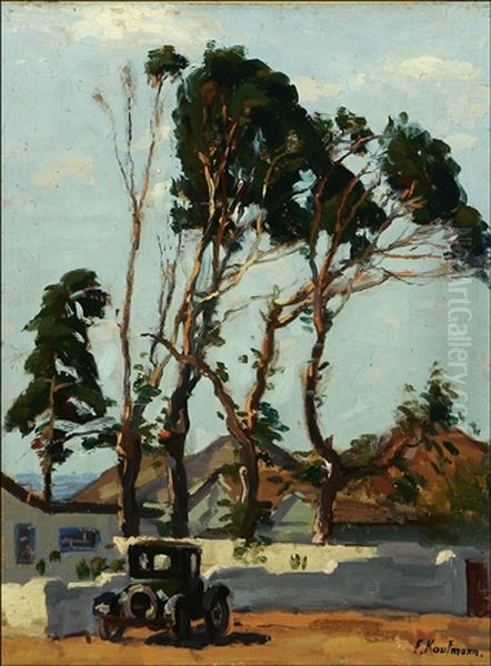 Eucalyptus Trees In Laguna Beach, Calif. Oil Painting by Ferdinand Kaufmann