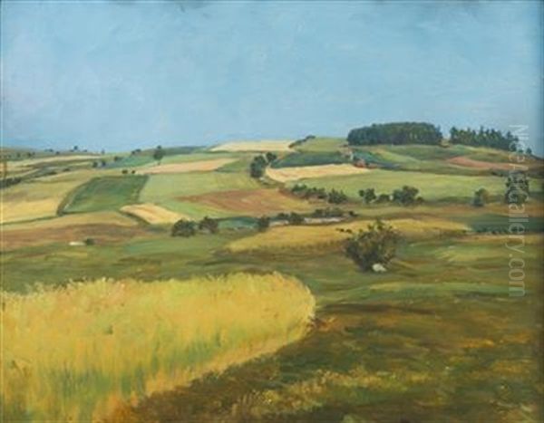 Mountain Fields Oil Painting by Frantisek Kavan