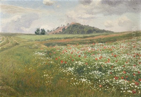 Fields With Wild Poppies Oil Painting by Frantisek Kavan