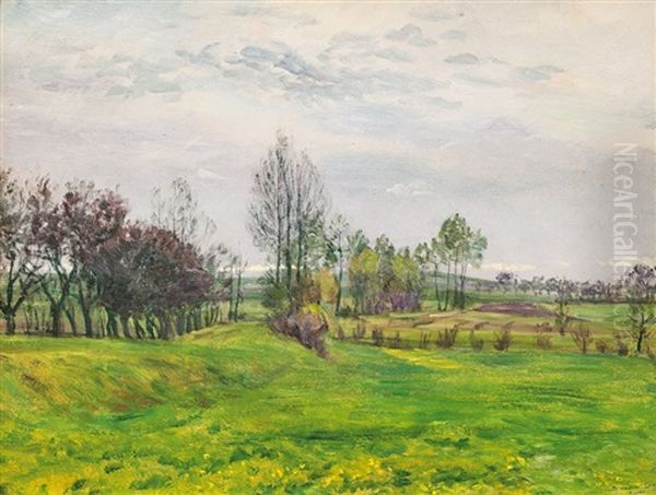 Jarni Nalada U Zeleznice Oil Painting by Frantisek Kavan