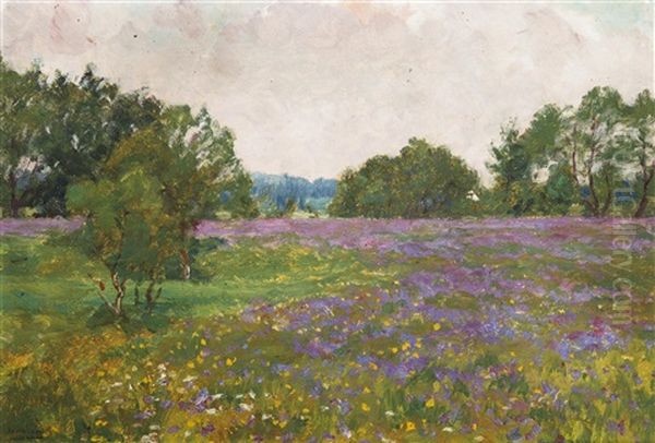 On A Blossoming Meadow Oil Painting by Frantisek Kavan