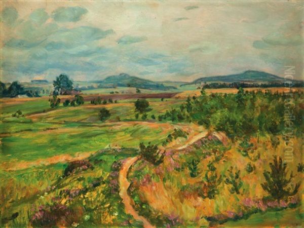 Letni Krajina Oil Painting by Frantisek Kavan