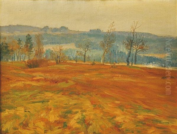 Raska's Meadow In Spring Oil Painting by Frantisek Kavan