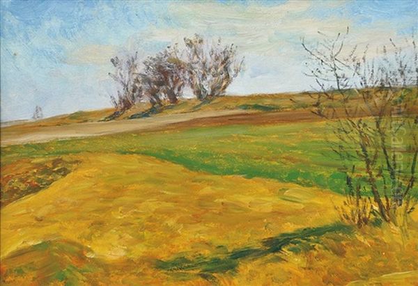 Boundaries Between Fields Oil Painting by Frantisek Kavan