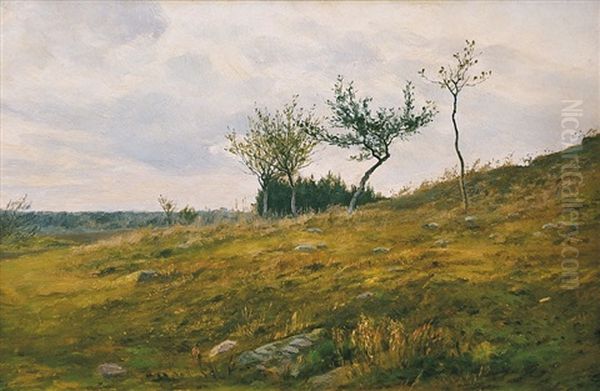 Trees On The Country Lane Oil Painting by Frantisek Kavan