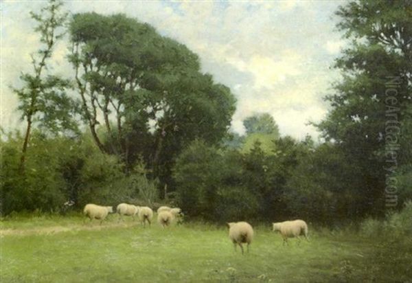 In The Baskin Fields, Fingal Oil Painting by Joseph Malachy Kavanagh