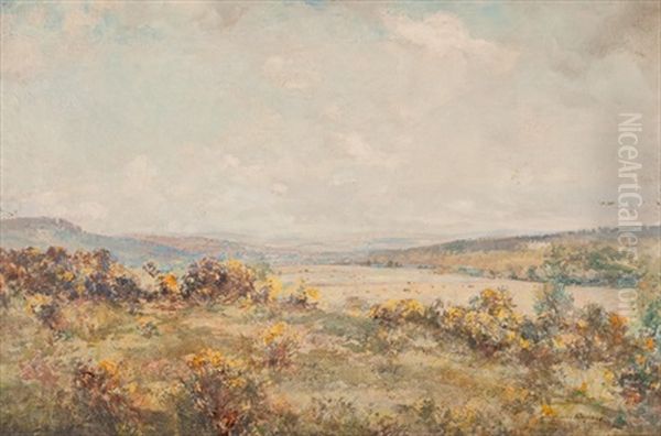 Summer Glen Oil Painting by Archibald Kay