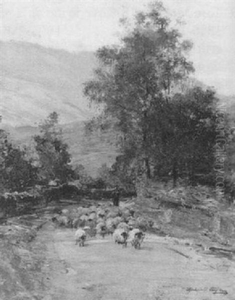 Driving Sheep Oil Painting by Archibald Kay