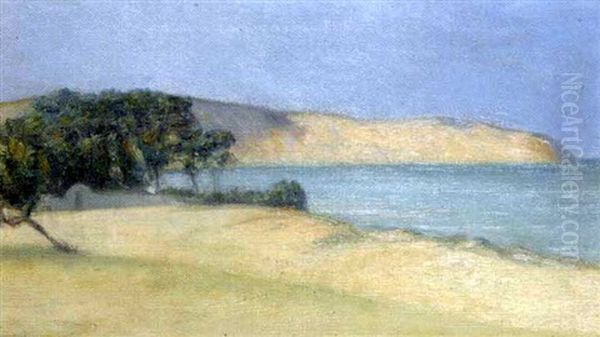 La Baie De Raouad, Tunisie Oil Painting by Hedi Kayachi