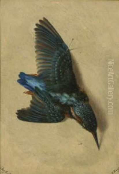 Eisvogel Oil Painting by Ebba Kayser