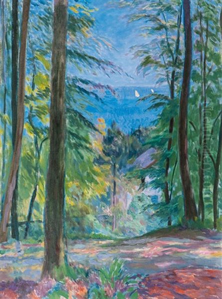 Blick Vom Hirschpark Auf Die Elbe Oil Painting by Paul Kayser